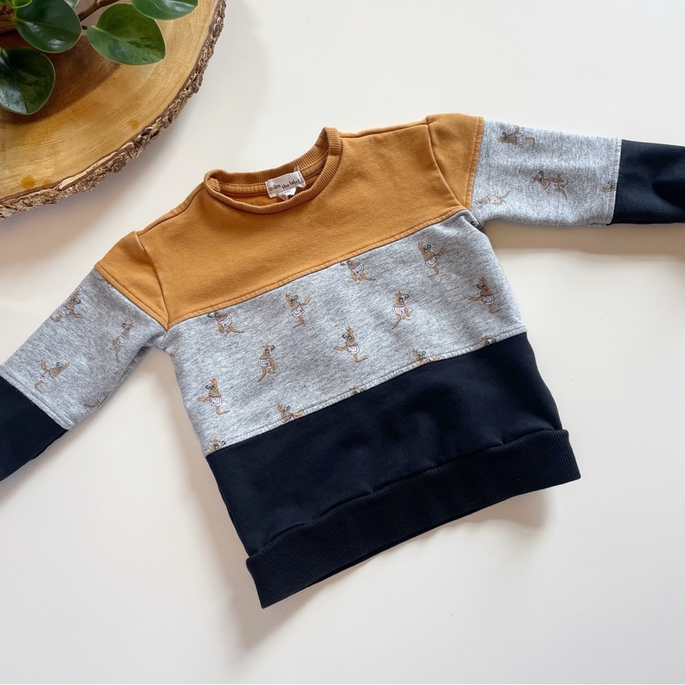 Miles The Label Organic Boxing Kangaroo Sweatshirt | 18-24m